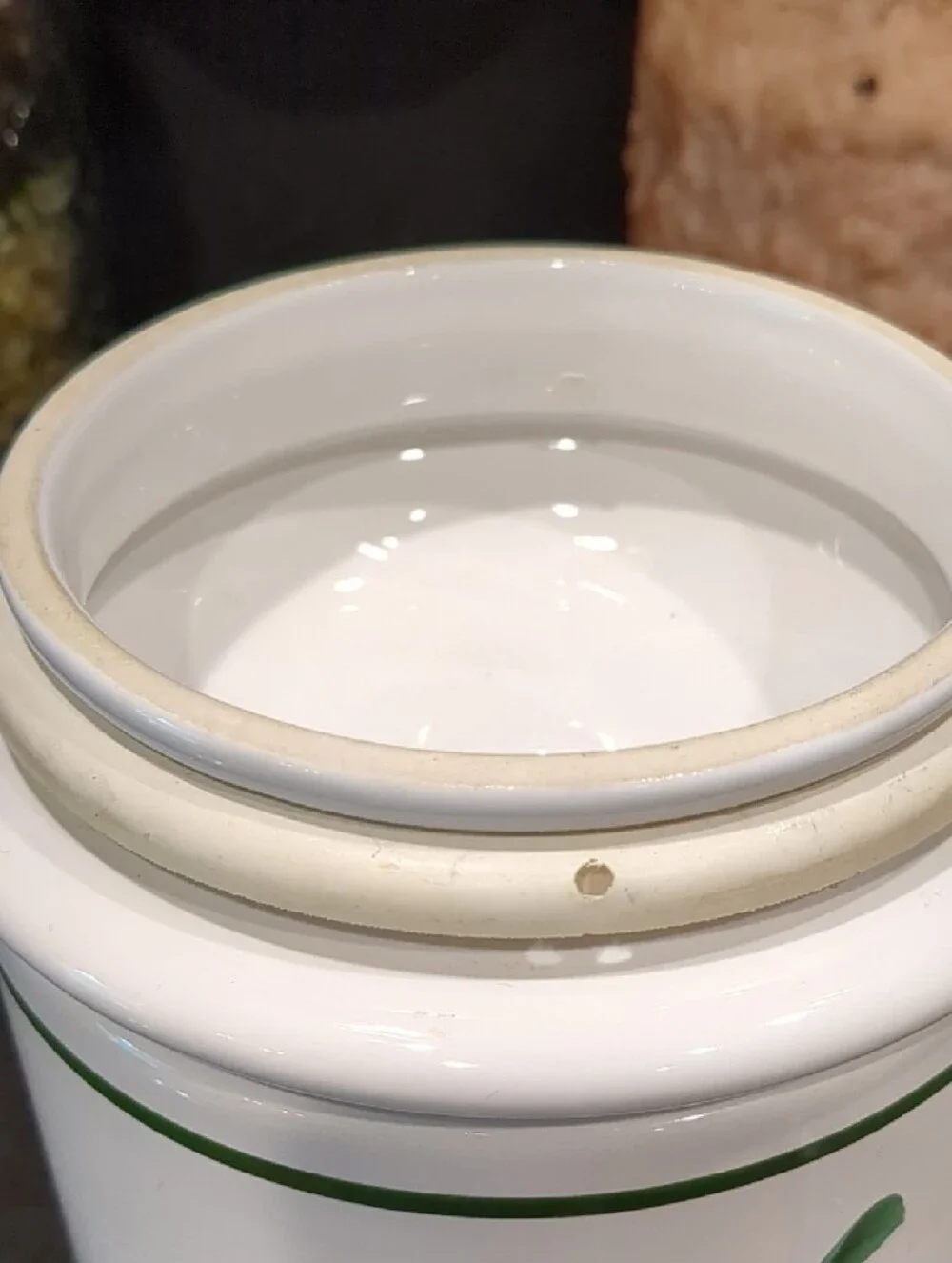 Over and Back Inc. Botanical Ceramic Canister with Lid Vintage Made In Portugal
